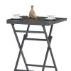 Modern outdoor plastic wood folding table and chair,Garden Furniture 3PCS (2 Chairs+1 table)