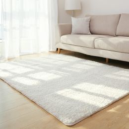 Living Room Rug Area Solid Carpet Fluffy Soft Home Decor White Plush Carpet Bedroom Carpet Kitchen Floor Mats White Rug Tapete (China) (Color: White)